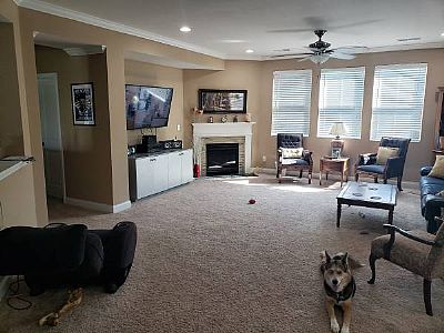 Lexroomforrent profile photo