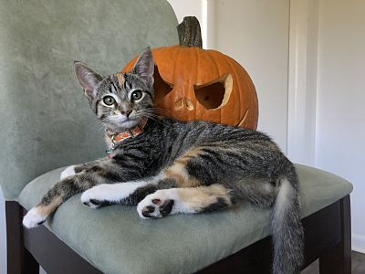 Oliviawalsh21 profile photo
