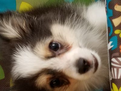 Keishaholley profile photo