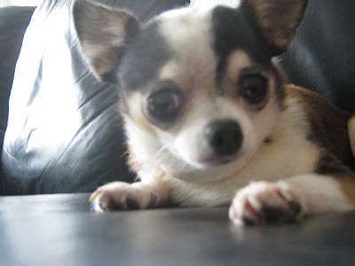 Ooldes profile photo