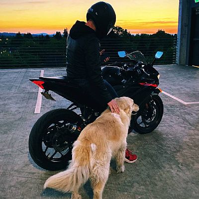Thedogkeeper profile photo