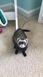 Ericawilloughby profile photo