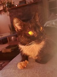 Mliebe profile photo
