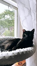 Kettlekorn profile photo