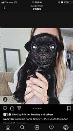 Juliabryant profile photo