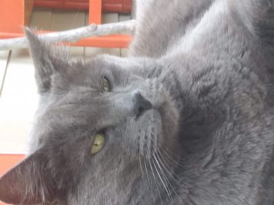 Methinks profile photo