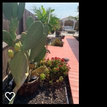 Msmartha profile photo