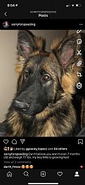 Bb923092 profile photo