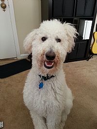 Gtkirkland profile photo