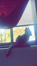 Madzuwu profile photo