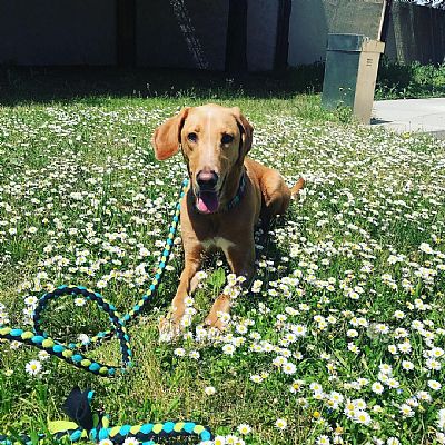 Mbeachme profile photo