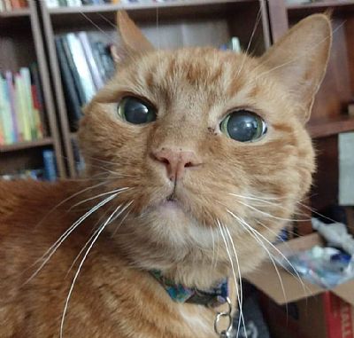 Tbcanale profile photo