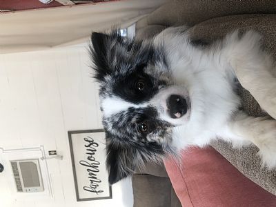 Alialexis22 profile photo