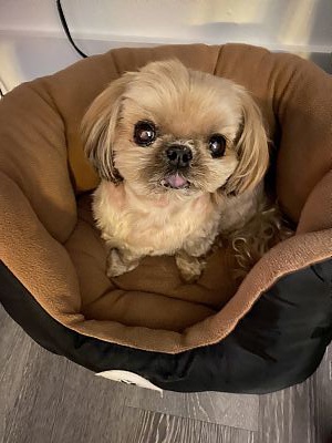 Nowher profile photo