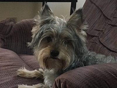 Gossj profile photo