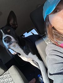 Simai profile photo