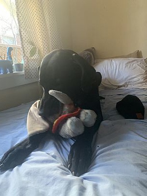 Theboredomempir profile photo