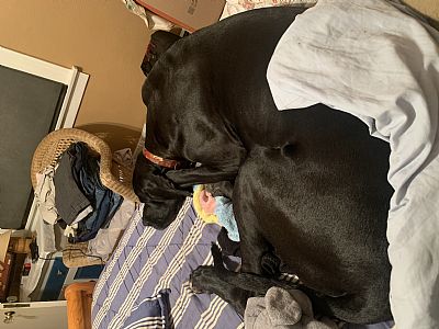 Theboredomempir profile photo