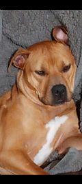 Quinnonm profile photo