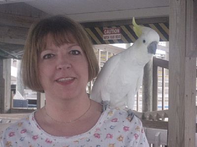 Leigh70 profile photo