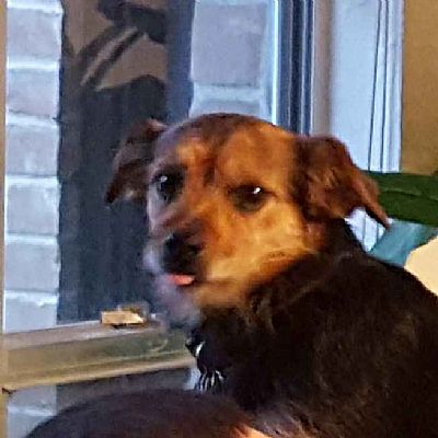 Refuse2Growup profile photo