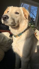 Wkayleebrook profile photo