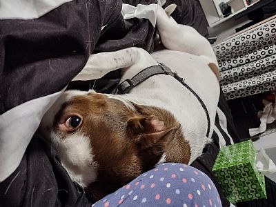 Katielizc profile photo