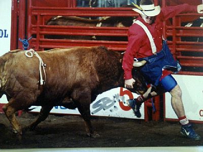 Bullfighterbass profile photo