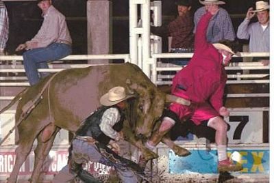 Bullfighterbass profile photo