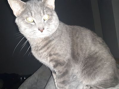Lum3N8 profile photo