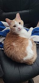 Tim96 profile photo