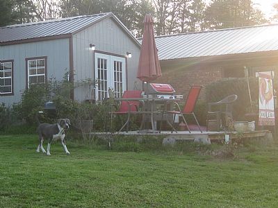 Pidege1 profile photo