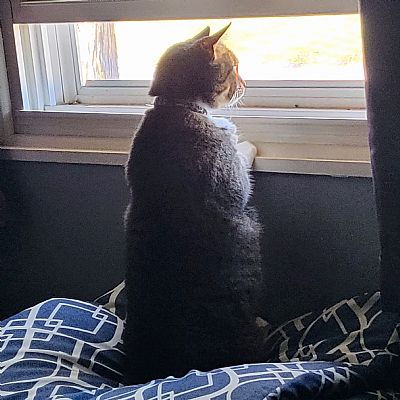 Methenya86 profile photo