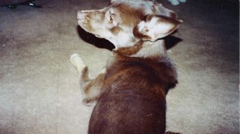 Nygirl profile photo