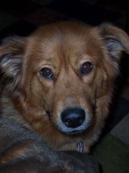 Nygirl profile photo