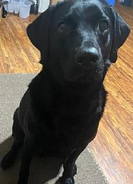 Nursemacgyver profile photo