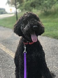 Robbinsbiz profile photo