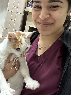 Lizjaimes profile photo