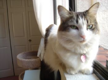 Tiggynpene profile photo