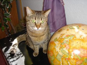 Tiggynpene profile photo