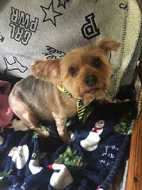 Donhuet profile photo