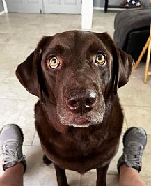 Pbi4Me profile photo