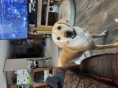 Zippyjeff profile photo