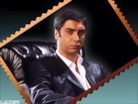 Halil profile photo