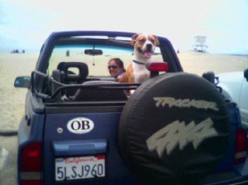 Couplewpups profile photo