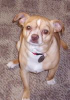 Pamel profile photo