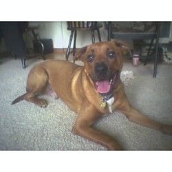 Rainfaith profile photo