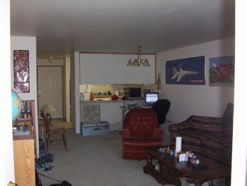 Apt217 profile photo