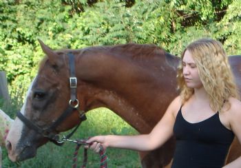 Lschwar profile photo
