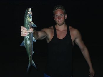 Ostrom4U profile photo